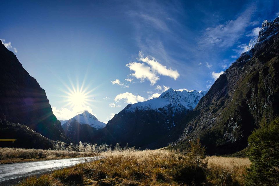 Phoenix Connection Therapy Home Page Header