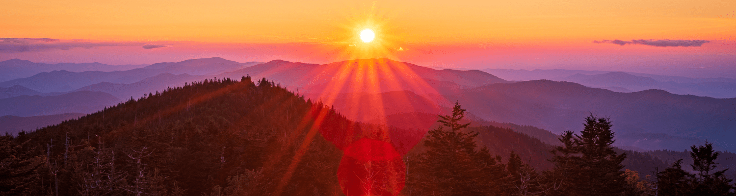 Phoenix Connection Therapy Page Header