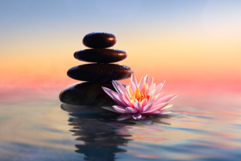 Understanding Trauma Differentiating Big T and Little T