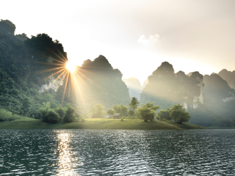 What is Counselling & Psychotherapy